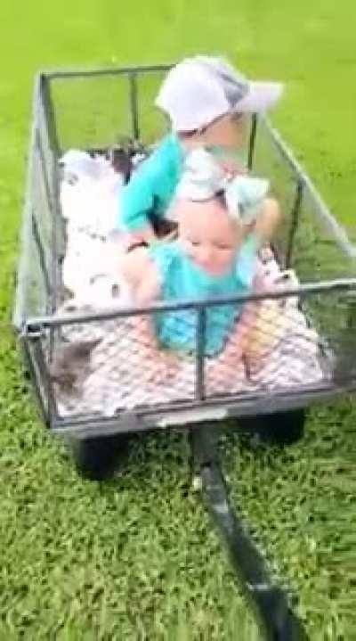 Just a wagon full of kittens and babies! Update from the yesterday’s 13 rescued kittens.