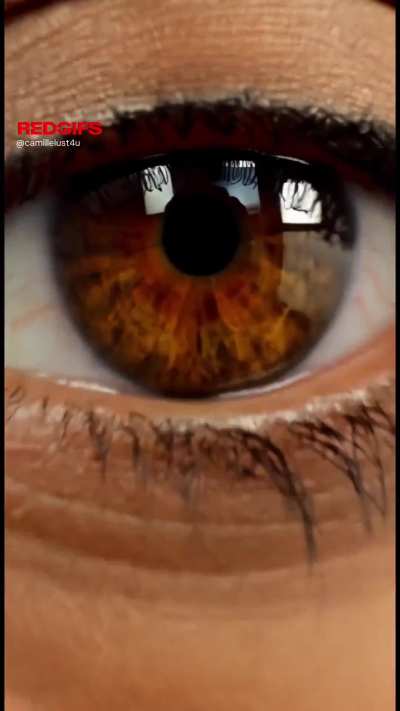 24f fm4f or f4f I deserve a 3sum (fountain square)