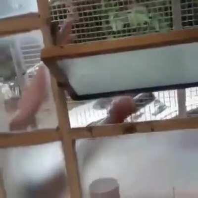 Brasil: Pátria educadora.