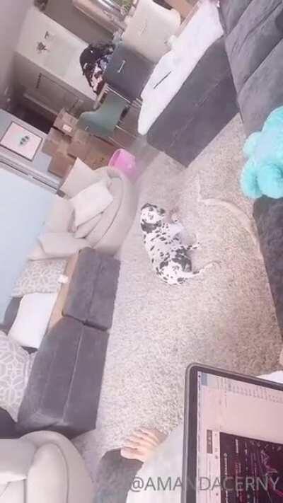 Do you believe on this?!! I absolutely do Not