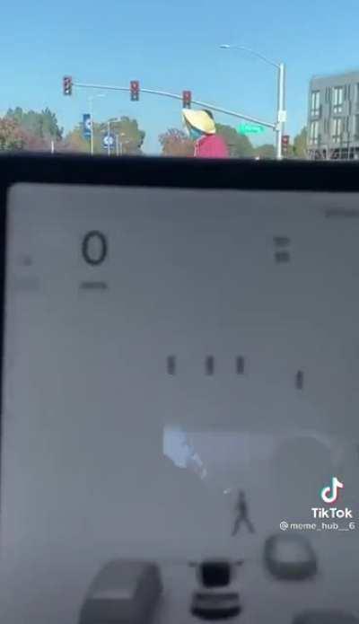 Didn’t know the Tesla did this!