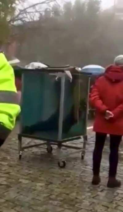 Illusionist Pedro Volta drowns while attempting to escape from a water tank