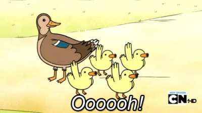 Those ducks were cool!