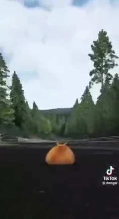 If I can't mod this into Rennsport then what's even the point?