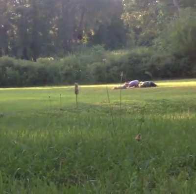 A Rare Trifecta Fall