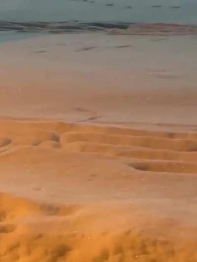 Dashing through the snow