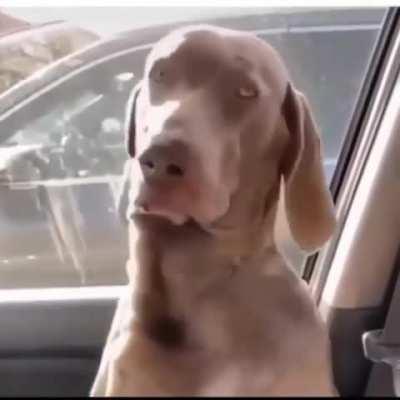 Wunk has no patience for bureaucracy (he is not on the city council)