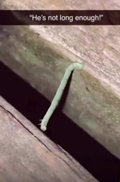 He’s gonna make the gap!