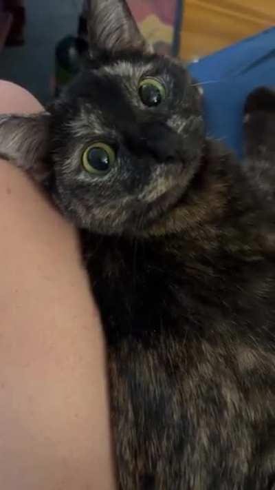 AAAAAAAAAAAAAAAAAAAAAAAAAAAAAA