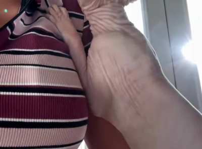 Cuddled barely five minutes ago, but Furry wants the snuggles again!