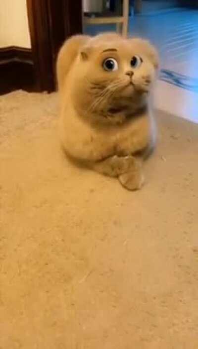 Some filters just work