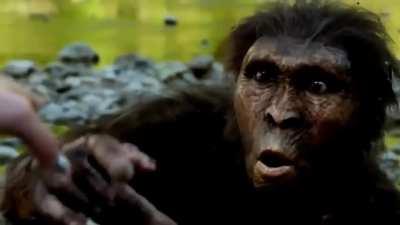 Monkeydonia holy dream 🤯🎪🐒