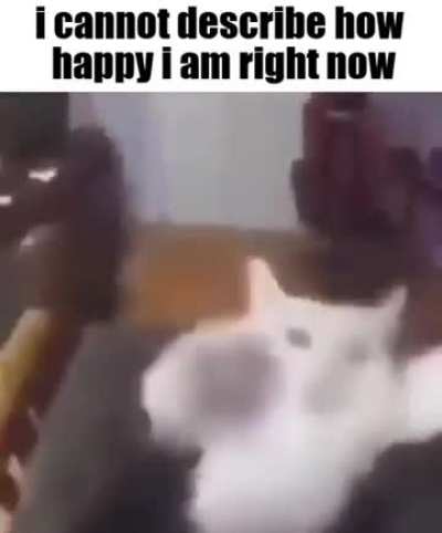 I GOT A BOYFRIEND NOW!!!