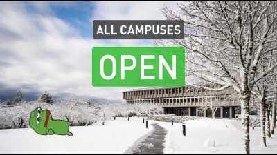 Fall Experience 2019 vs 2020. Yes I do have too much free time on my hands