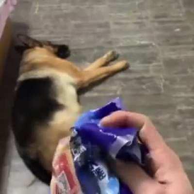 I know a snack when I hear one