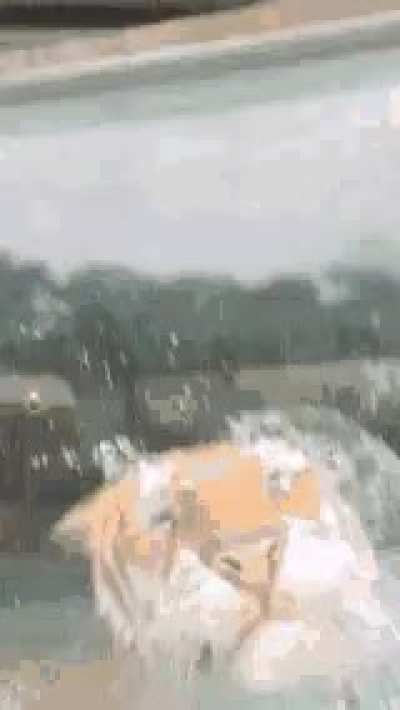 Meet Ju Fufu unexpectedly