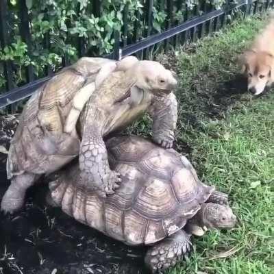 Poor guy can't even finish in peace.