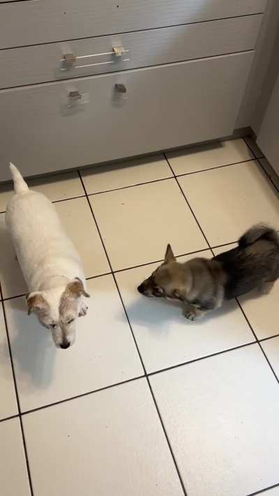 What is happening here?