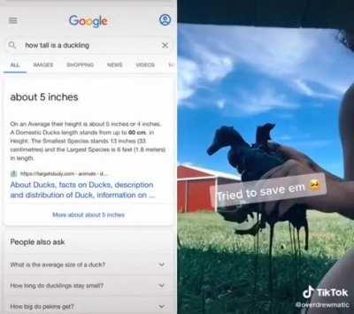 Putting ducks in oil for tiktok clout