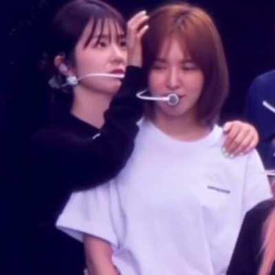 Not exactly a meme but- happy Wendy day!