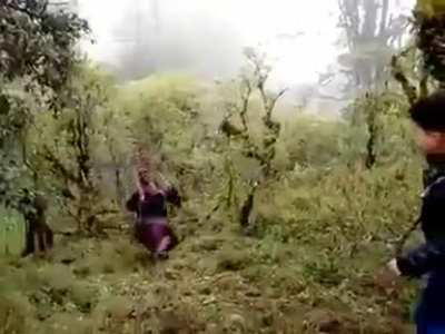 HMF while this doesn’t end well..