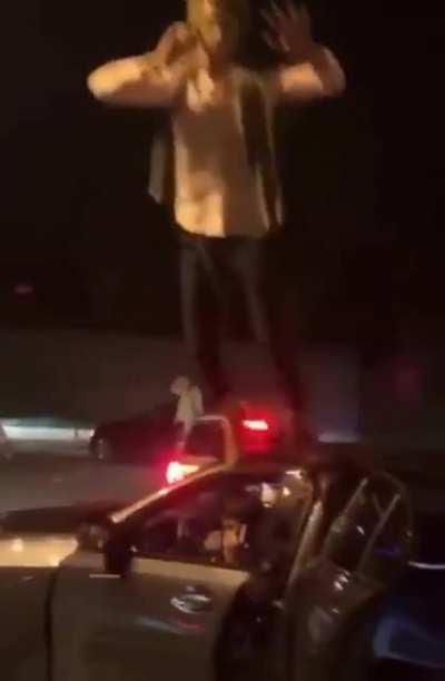 Wile E. Coyote jumping at the Road Runner be like