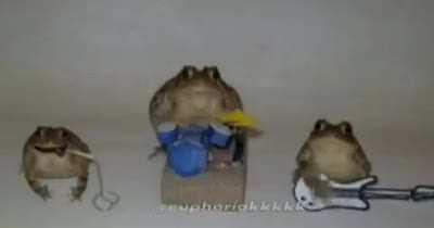 a fiscal de sapos aprova a banda?