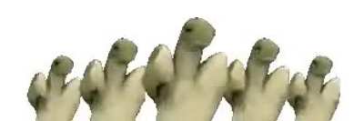 I broke my tailbone, goodbye