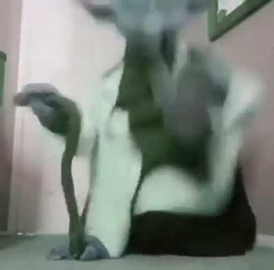 Dance, I must. Happy, I am.