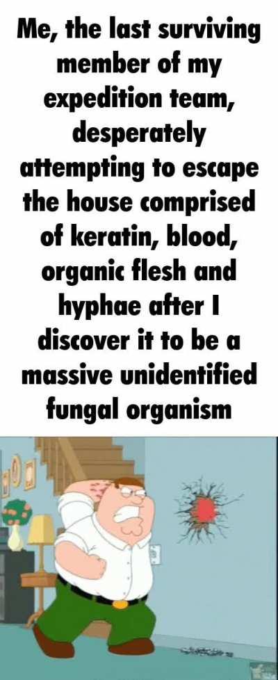 t̴͈̦̮̊̔̉̉̕h̸̤̭̦̖̜̽̎͝e̴͍̦͌̈́ ̴̡͖̙̈̔h̵̖̤̺͂ồ̸̺̫̩u̶̻͍̲͎̽̀̇s̵̨̪̤̝̊̍e̶͙̖͂̐́͒ ̷͇̬̲͙͗̒̆̈́͛d̶̡̅̓̇ǒ̵͚̫̤̒͠ë̷̺́̚s̴̢̋̚ ̵̲̋͛͛̄n̵̖͗̊o̸̟͕̾͑̔t̸͚̑́ ̵̥́̉̑̌̋b̵͇͗̑e̸̹̱̳̼̝͌̑͝l̸͔͎̃̿̒̂̒ó̶̠̤̠̅͘͠ǹ̶͍̥̙̰͗͑͘̚g̷͈̱͔̲̱̿̔͠ ̴̘̞̞͒̉̈́͛͝t̴̳̤̃̓̕͜͠o̶͍̪̪̰͒̊̂ ̷̲̖͖̬́́̈́̒y̴͕̻͇͐̍̀̓o̴̤͐̔̀͂ȕ̴̜̱̈́͋̃̽