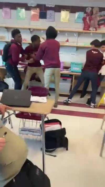 Fight at my school