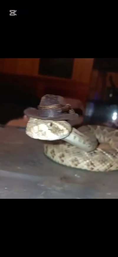 Just found out frank has some cousins in texas!