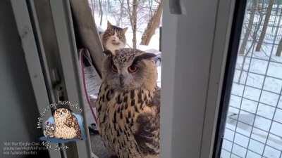 Can I squeeze through?