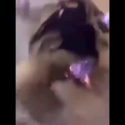 leaked footage of Aristotal in his youth