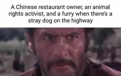 Who will end up taking the dog?