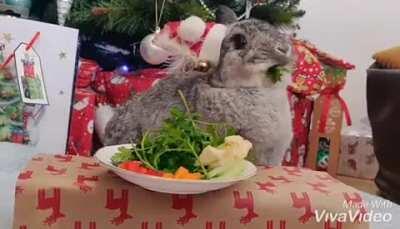 Please appreciate my hand carved banana turkey!