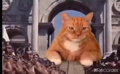 What I imagine it will be like when he tweets again...