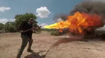 Drillers have the gear