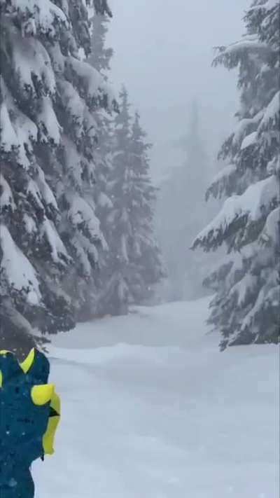 SHREDasaurus comin' through!