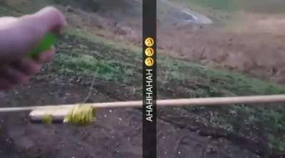 From r/PerfectlyCutScreams