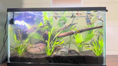 Is this okay, and for how long if not?