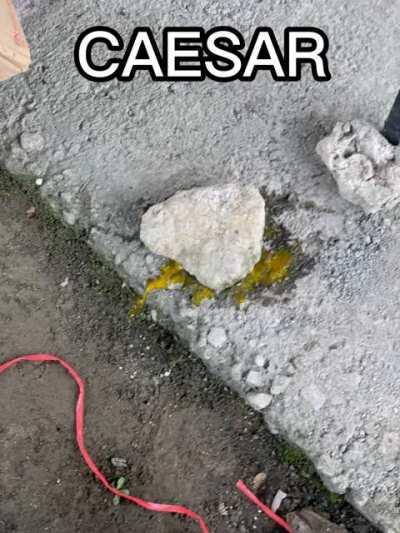 The chicken's mom cried.