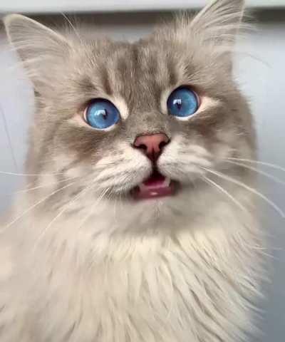 Eyes as deep as the sea.