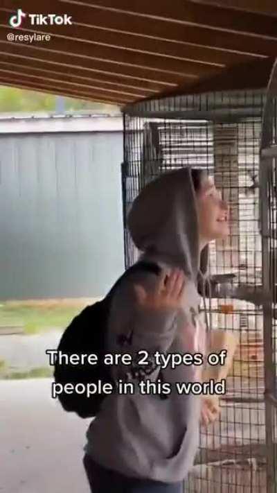 birb go AAAAAAAAAAAAAAAAAAAAAA