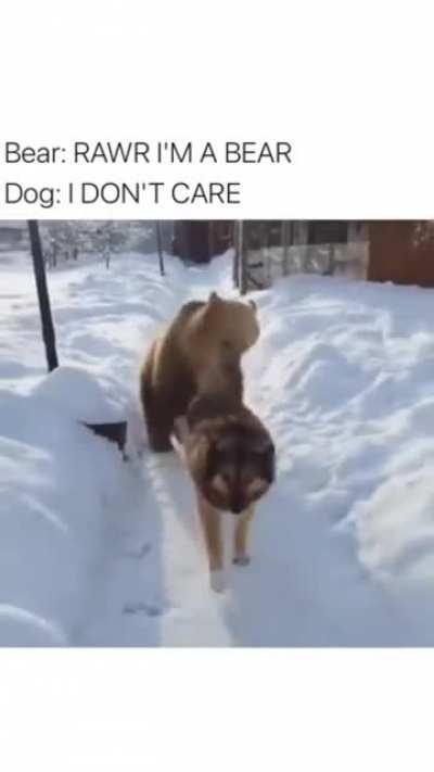 Dog was like please stop embarrassing me