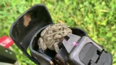 Very unhoppy with the RMR