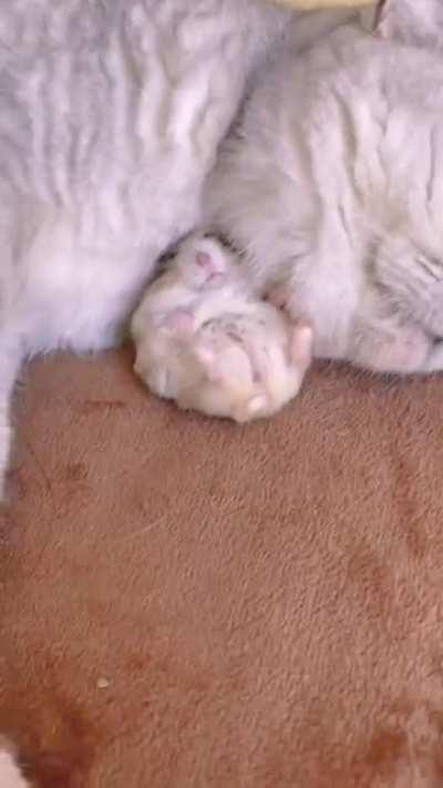 they're good friends 💕