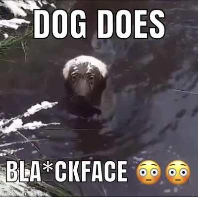 is this a hate crime?? 🧐🤨