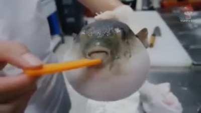 All spongebob characters.