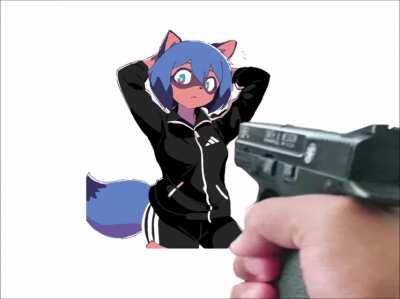 Top 5 cool raccoons earrape